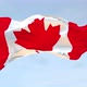Canada Republic Flag Waving loop 4K - VideoHive Item for Sale
