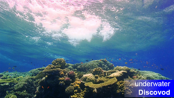 Waves of the Sea Over the Coral Reef 02