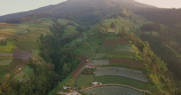 aerial drone view of a vegetable plantation on the slopes of Mount Sumbing, Central Java, Indonesia.