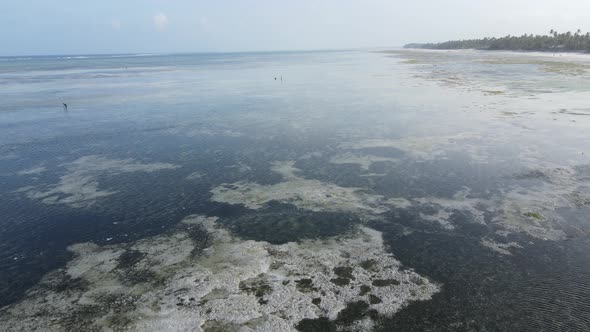 Aerial View of Low Tide in the Ocean Near the Coast of Zanzibar Tanzania Slow Motion