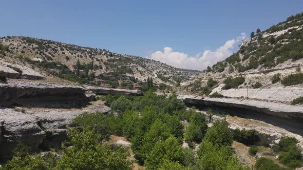 Creek Plane Tree Green Valley Drone View