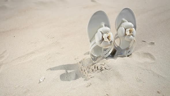 Female Flip Flops On Beach.