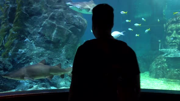 Large Aquarium in Bangkok