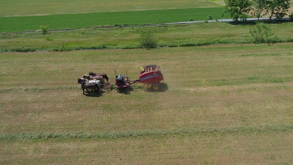 Aerial View of an Amish Farmer Harvesting His Crop with 4 Horses and Modern Equipment