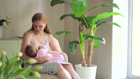 Mom Holds the Baby in Arms and Breastfeeds Under Green Plant in Home Interior Spbd