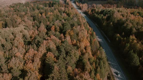 Asphalt road with traffic cars between forest in Ural