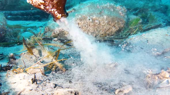 Emptying out a discarded beer bottle found while cleaning up ocean trash