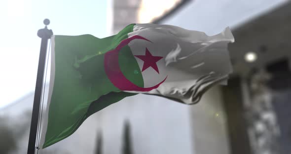 Algerian national flag. Algeria country waving flag