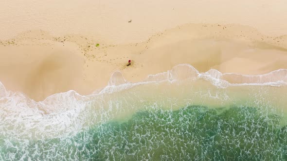Aerial Overhead Shot Alone Woman Walking with Dog By Empty Sandy Hawaiian Beach