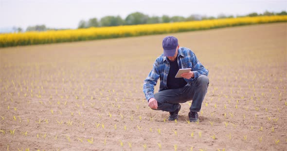 Agriculture, Food Production - Farmer Examining Crops at Field