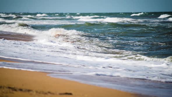 Wave of the Sea on the Sandy Beach