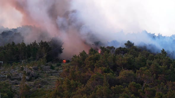 Forest Fire Near Electric Power Line