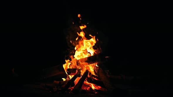 Camp Fire (4K)