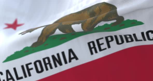 Flag of California State