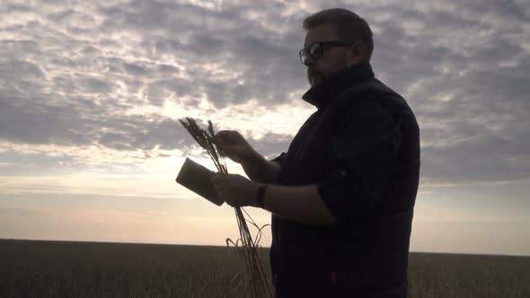 Farmer Works with a Computer Tablet in a Wheat Field at Sunset