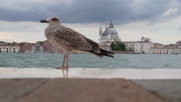 Venice, Italy 07