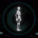 3D Skelton Analysis Virtual Reality - VideoHive Item for Sale