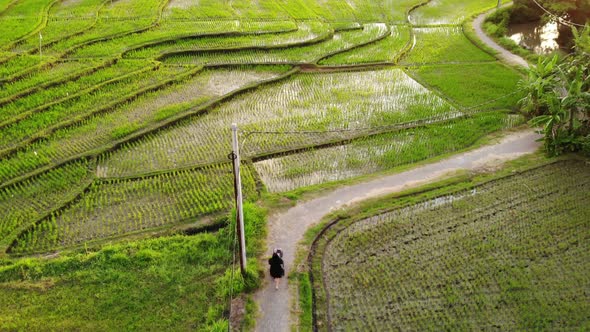 Person Strolling Near Rice Fields in Kerobokan, Bali