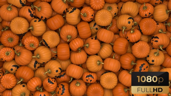 Halloween Pumpkin Transition alt