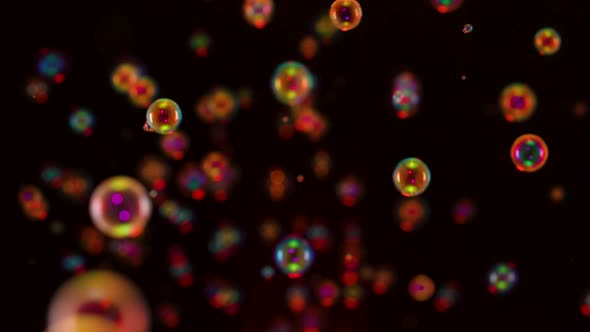 Many Rainbow Bright Soap Bubbles Fly and Burst on a Black Background