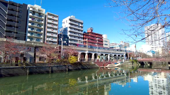 The Beauty of Ooka River