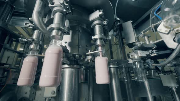 Bottles Are Getting Mechanically Filled with Liquid Dairy