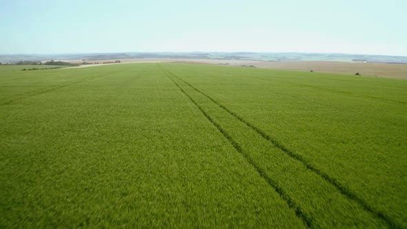 Organic Grain Farming Environment Ecological