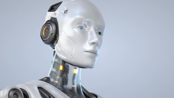 Humanlike Robot