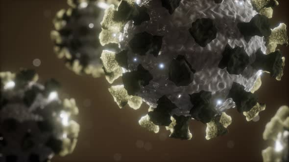 Coronavirus COVID19 Medical Micro Model