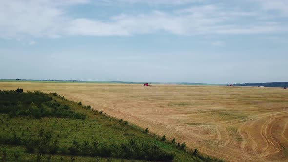 Aerial view on the combines and tractors working on the large wheat field. Wheat Harvesting.