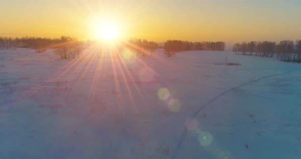 Aerial Drone View of Cold Winter Landscape with Arctic Field Trees Covered with Frost Snow and