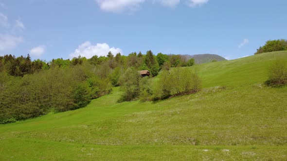 Flying over green spring meadows in front of old hay barn. Aerial 4k drone view.