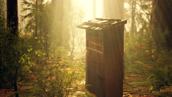 Old Wooden Beehive in Forest in Fog