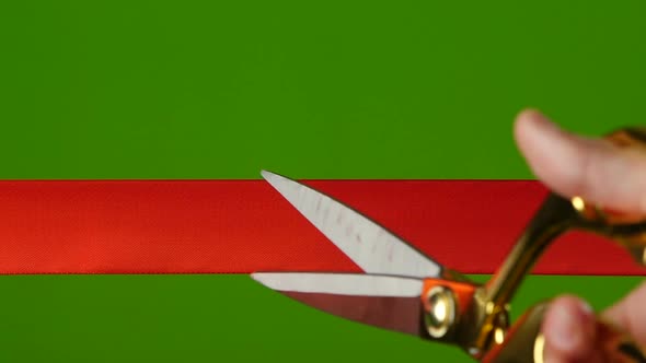 Red Ribbon Which Cut Golden Scissors. Slow Motion. Green Screen