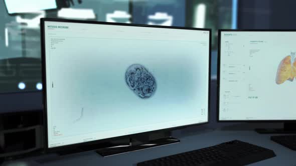 Researching the microbe microorganism mitosis process under the microscope alt