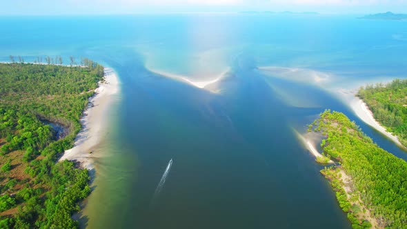 Aerial view of a mangrove forest at a tropical estuary