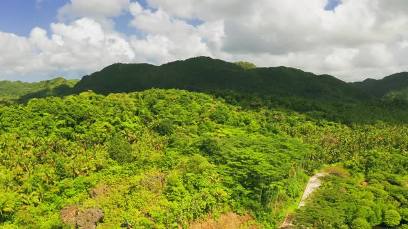 Aerial View of Rivers in Tropical Mangrove Forests and Tropical Mountain Landscape in Siargao