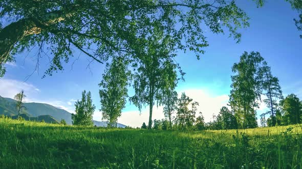 Mountain Meadow Time-lapse at the Summer or Autumn Time. Wild Nature and Rural Field