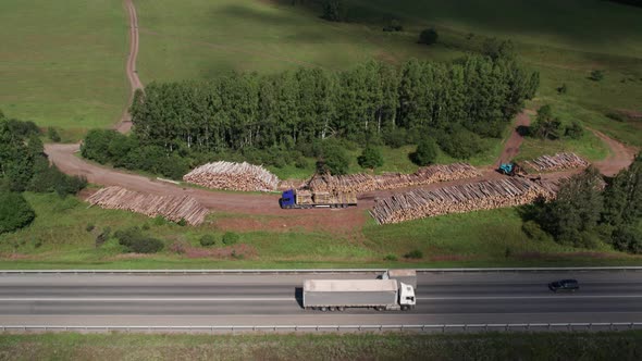 The Deforestation of Siberia Economic and Environmental Problems in Russian Forest Management