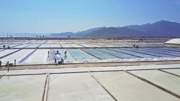 People Work on Salt Plantation Divided To Grounds