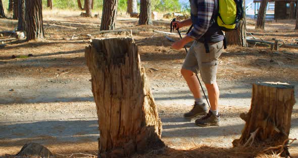 Male Hiker Walking in The Forest 4k