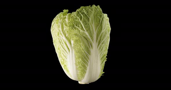 Green Beijing Cabbage. Alpha Channel