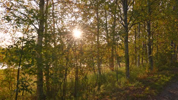 Classical Finnish Autumn Landscape at Sunset. Walking Along Autumn Path with Color Trees and Lake