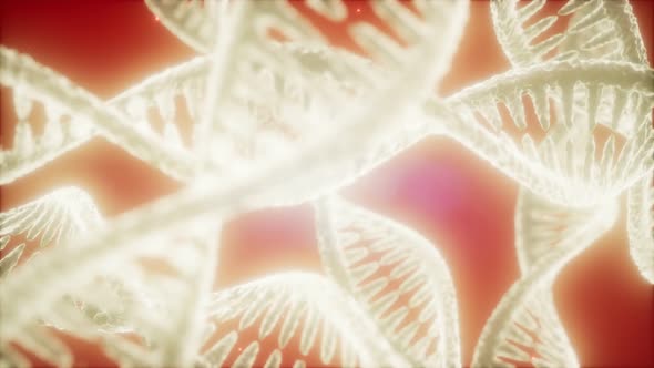 Structure of the DNA Double Helix Animation alt
