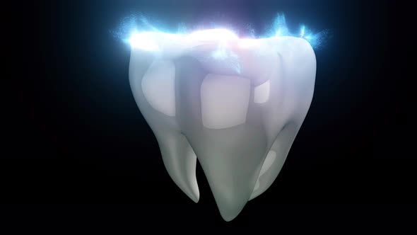 Representation Of Healthy Tooth 4k