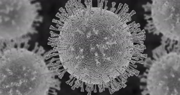 Black and White 3d Simulation of Corona Virus