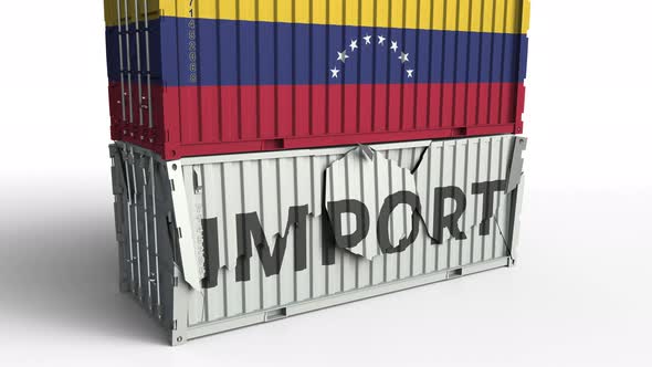 Container with Flag of Venezuela Breaking Container with IMPORT Text alt