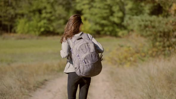 Tourist Hiker Woman in Forest with Backpack, Walking in Woods at Autumn