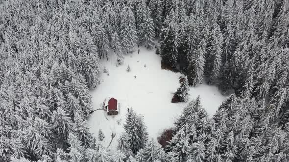 Hikers Walking in Snow Into the Woods