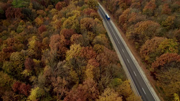 Straight Paved Road with a Truck Moving on a Beautiful Colorful Forest